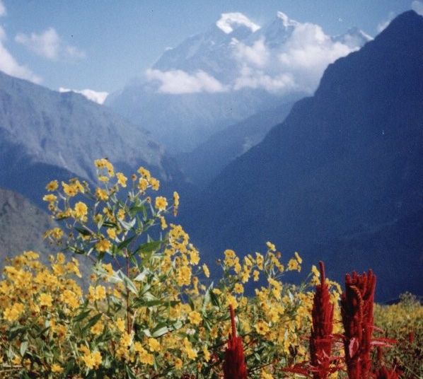 Mt. Dhaulagiri I and Manapati from Muri