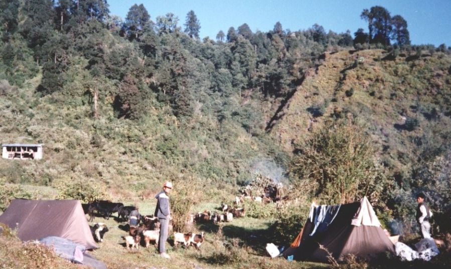 Camp at Laba