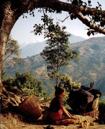 Nepalese woman selling oranges