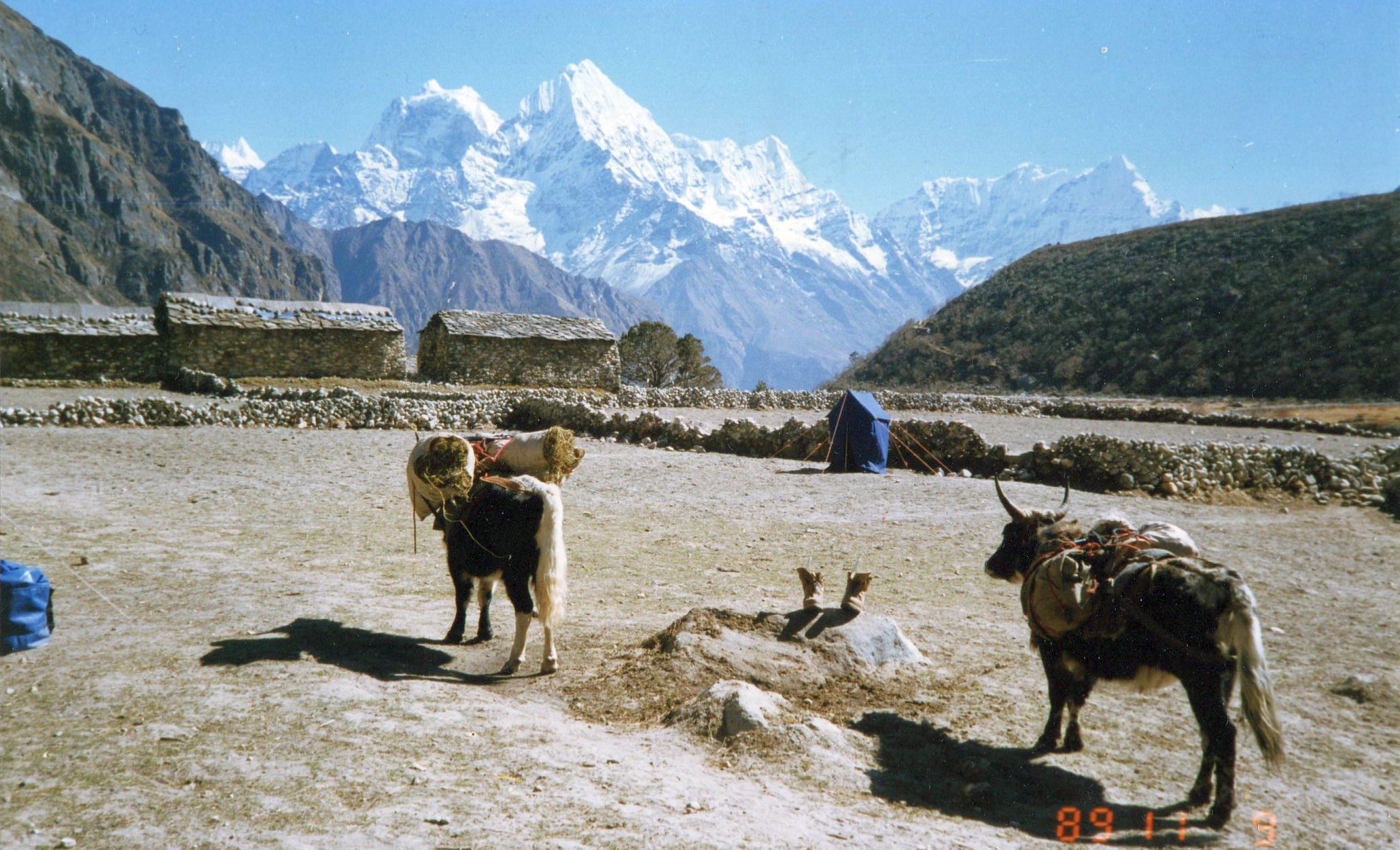 Mts.Kang Taiga and Thamserku from Thame