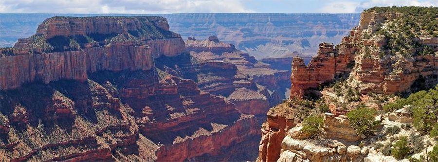 Cape Royal Amphitheatre from the North Rim of the Grand Canyon