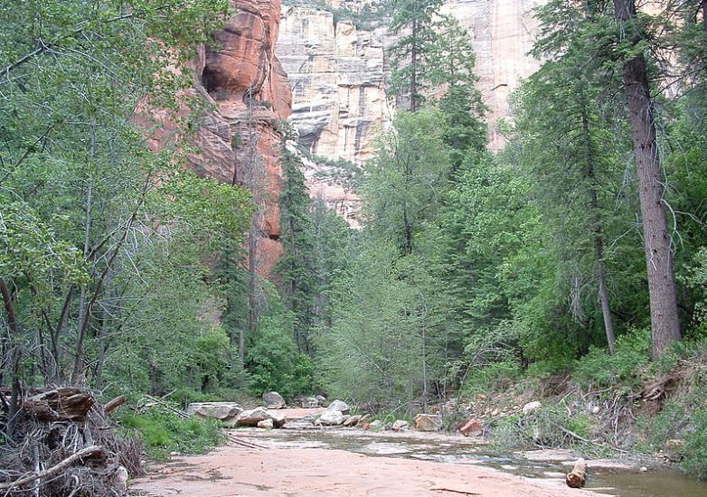 Oak Creek Canyon in Arizona