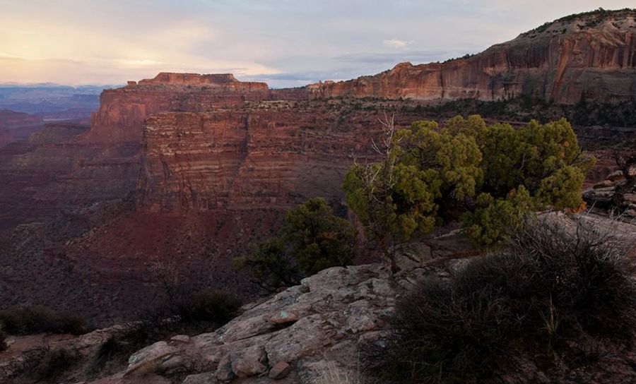 Overlook from Island in the Sky, Canyonlands