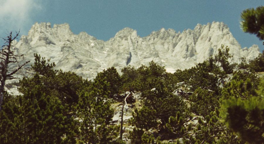 Zonaria locality on the East Side of Mt. Olympus