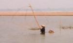 mekong_fishing_2.jpg