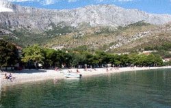 http://www.drvenik-makarska.com 