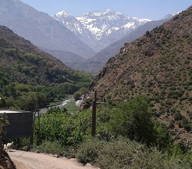 Toubal from Imlil Village in the High Atlas