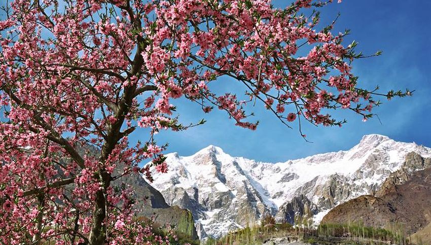 Hunza Valley in the Karakorum Mountains of Pakistan