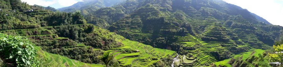 Rice terraces at Banaue in the Philippines