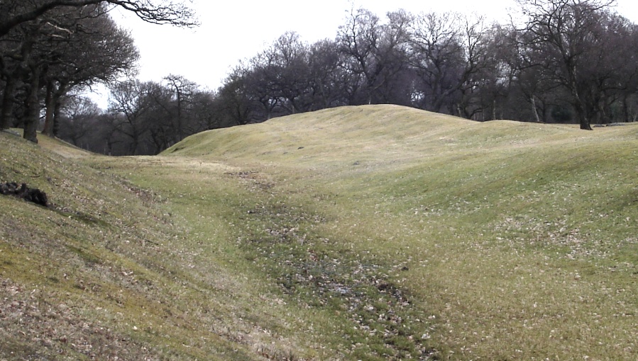 Rampart and Ditch of Antonine Wall through Seabegs Wood near Bonnybridge