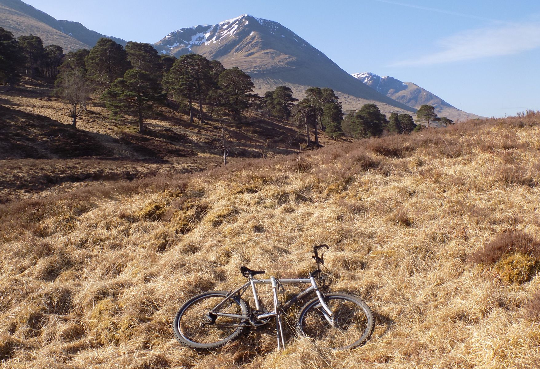 Beinn Achaladair above the Black Wood of Rannoch