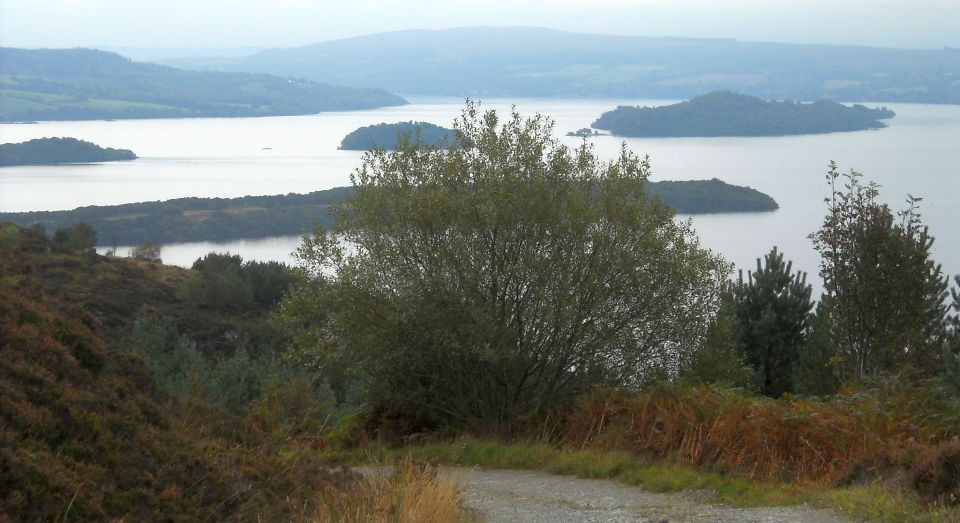 Islands in Loch Lomond from Cashel Forest