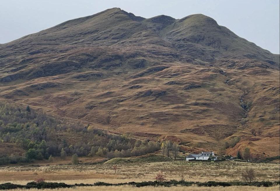 Ben Lomond above Comer Farm