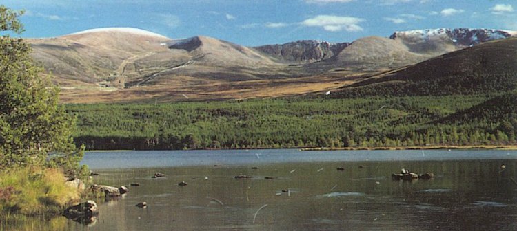 Cairngorms Massif from Loch Morlich