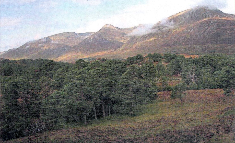 Glen Affric