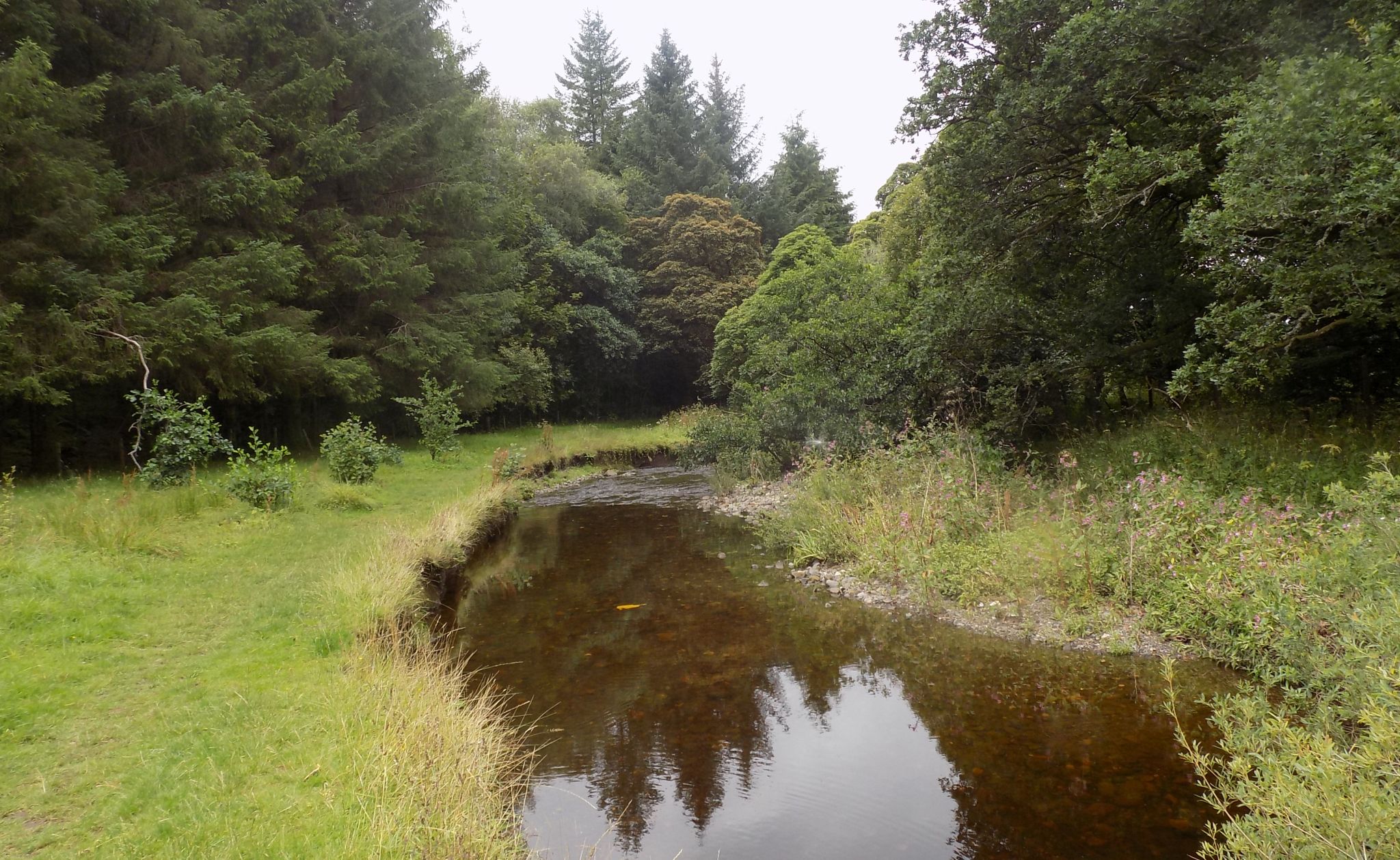 Blane Water on route to Dumgoyach