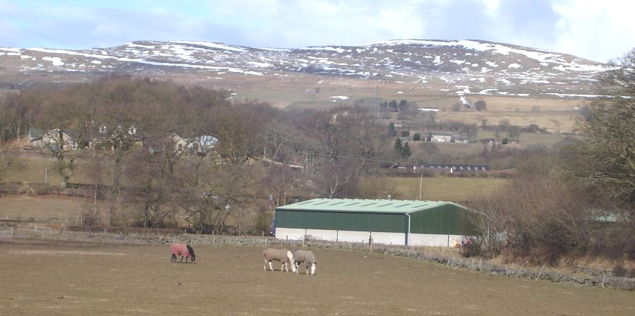 Kilsyth Hills from the Forth & Clyde Canal