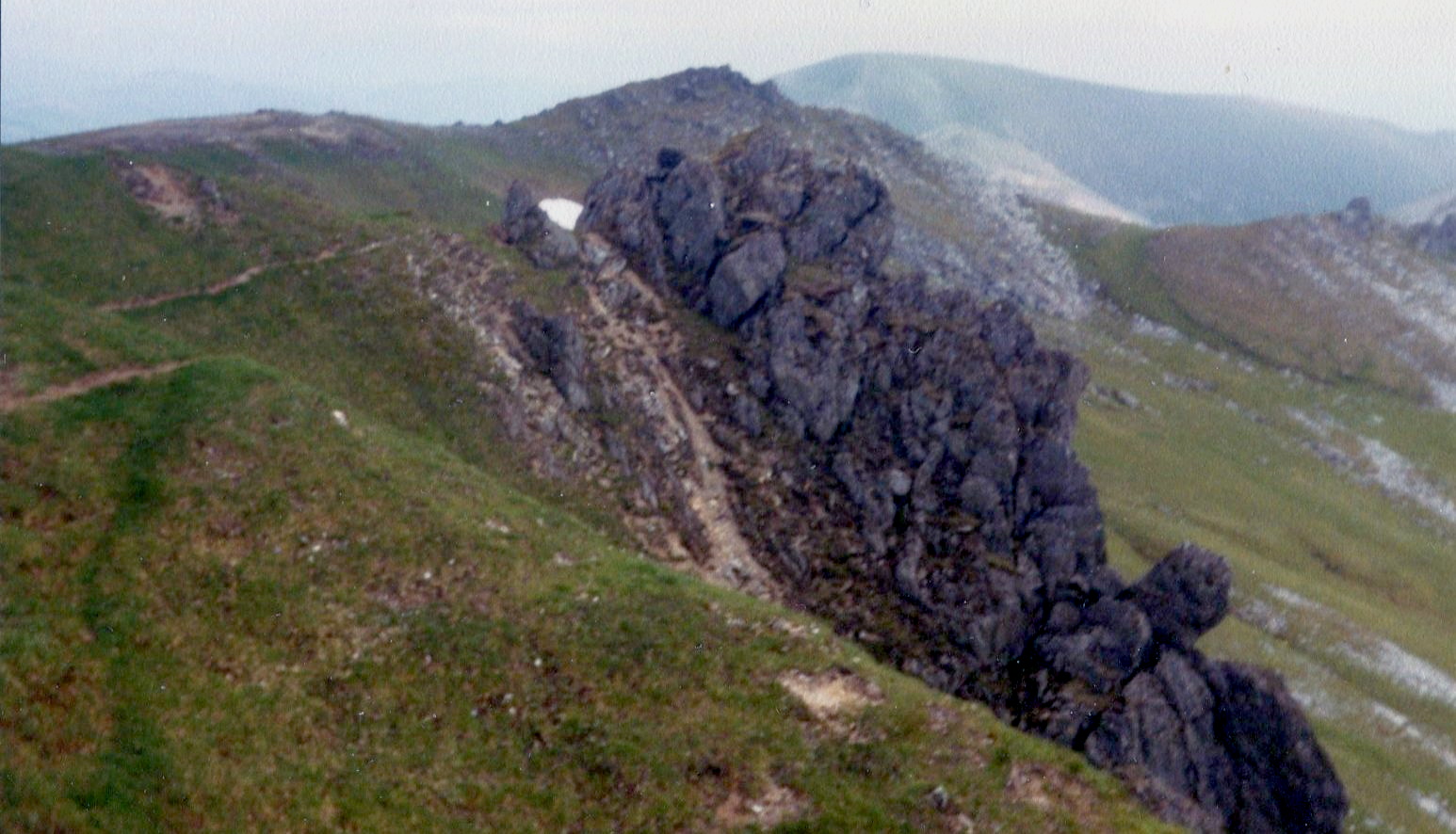 Tom a' Choinnich and Toll Creagach in Glen Affric