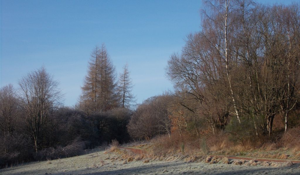 Riverside path in Strathclyde Country Park