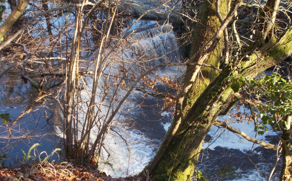 Wier in South Calder Water in Strathclyde Country Park