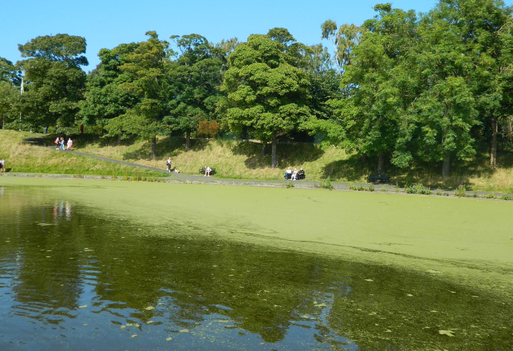 Inverleith Park on return from Newhaven