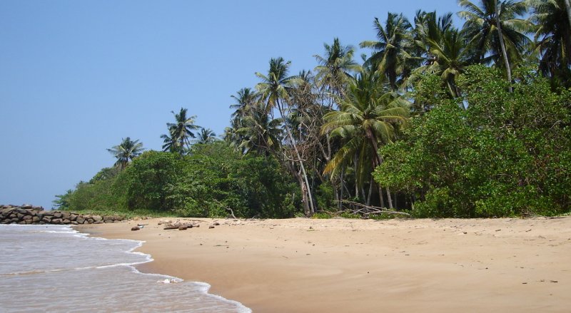 Beach at Polhena at Matara